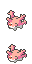 Corsola icon